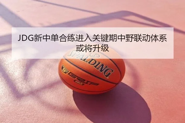 JDG新中单合练进入关键期中野联动体系或将升级