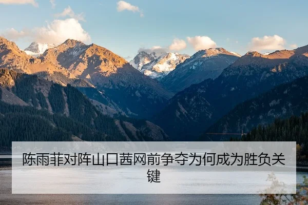 陈雨菲对阵山口茜网前争夺为何成为胜负关键